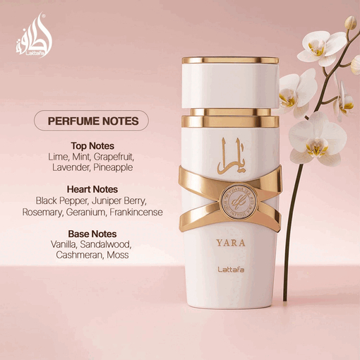 Product Yara Moi Eau De Parfum 100ml base image