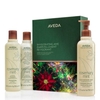 Product Invigorating Awe Rosemary Mint Hair & Body Essentials Set thumbnail image