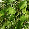 Product Rosemary Mint Hand & Body Wash 1000ml thumbnail image