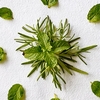 Product Rosemary Mint Hand & Body Wash 1000ml thumbnail image