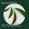 Product Eucalyptus Essential Oil + Base For Body & Bath 30ml thumbnail image