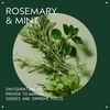 Product Rosemary Mint Weightless Conditioner 50ml thumbnail image