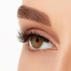 Product Naked Lashes 420 4ea thumbnail image