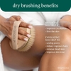 Product Dry Body Brush thumbnail image