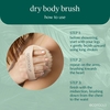 Product Dry Body Brush thumbnail image