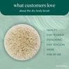 Product Dry Body Brush thumbnail image