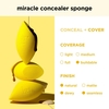 Product Miracle Concealer Sponge thumbnail image