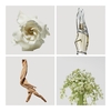 Product Cashmere Mist Eau De Parfum 100ml thumbnail image