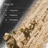 Product High Impact Shadow Play™ Shadow + Definer 1.9g thumbnail image