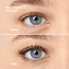 Product Eye Essentials: High Impact Lashes Set thumbnail image