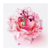 Product Nina Illusion Eau De Parfum 30ml thumbnail image