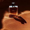 Product Terre d'Hermès Eau De Toilette 100ml thumbnail image