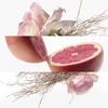 Product Concentré De Pamplemousse Rose Eau De Toilette 100ml thumbnail image