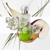 Product Un Jardin Sur Le Toit Eau De Toilette 30ml thumbnail image