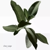 Product H24 Eau De Toilette 100ml thumbnail image
