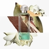 Product Un Jardin Sur Le Nil Eau De Toilette 100ml thumbnail image
