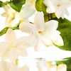 Product Guerlain Mon Guerlain Eau De Parfum 50ml thumbnail image