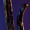 Product Les Légendaires - Après L'Ondée Eau De Toilette 75ml thumbnail image