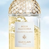 Product Aqua Allegoria Bergamote Calabria Eau De Toilette 75ml thumbnail image