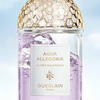 Product Aqua Allegoria Flora Salvaggia Eau De Toilette 75ml thumbnail image