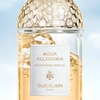 Product Aqua Allegoria Mandarine Basilic Eau De Toilette 75ml thumbnail image