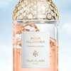 Product Aqua Allegoria Orange Soleia Eau De Toilette 75ml thumbnail image