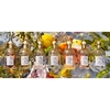 Product Aqua Allegoria Pamplelune Eau De Toilette 75ml thumbnail image