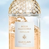 Product Aqua Allegoria Pamplelune Eau De Toilette 75ml thumbnail image