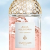Product Aqua Allegoria Pera Granita Eau De Toilette 75ml thumbnail image
