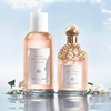 Product Aqua Allegoria Rosa Rossa Eau De Toilette 75ml thumbnail image