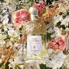 Product Aqua Allegoria Nerolia Vetiver Eau De Toilette 75ml thumbnail image