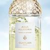Product Aqua Allegoria Nerolia Vetiver Eau De Toilette Refill 200ml thumbnail image