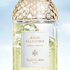Product Aqua Allegoria Herba Fresca Eau De Toilette Refill 200ml thumbnail image