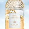 Product Aqua Allegoria Mandarine Basilic Eau De Toilette Refill 200ml thumbnail image