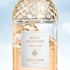 Product Aqua Allegoria Pamplelune Eau De Toilette Refill 200ml thumbnail image