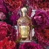 Product Aqua Allegoria Rosa Rossa Forte Eau De Parfum 75ml thumbnail image