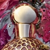 Product Aqua Allegoria Rosa Rossa Forte Eau De Parfum 75ml thumbnail image