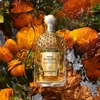 Product Aqua Allegoria Mandarine Basilic Forte Eau De Parfum 75ml thumbnail image
