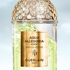 Product Aqua Allegoria Nerolia Vetiver Forte Eau De Parfum 75ml thumbnail image