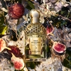 Product Aqua Allegoria Nerolia Vetiver Forte Eau De Parfum 75ml thumbnail image