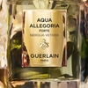 Product Aqua Allegoria Nerolia Vetiver Forte Eau De Parfum 75ml thumbnail image