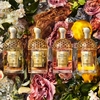 Product Aqua Allegoria Oud Yuzu Forte Eau De Parfum 75ml thumbnail image