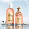Product Aqua Allegoria Rosa Palissandro Forte Eau De Parfum 75ml thumbnail image