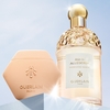 Product Aqua Allegoria Mandarine Basilic Hand Cream 50ml thumbnail image