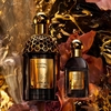 Product Absolus Allegoria Santal Royal Hair Mist 40ml thumbnail image