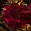 Product Absolus Allegoria Rose Amira Hair Mist 40ml thumbnail image