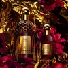 Product Absolus Allegoria Rose Amira Hair Mist 40ml thumbnail image