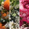 Product Aqua Allegoria Rosa Verde Eau De Toilette 125ml thumbnail image