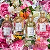 Product Aqua Allegoria Rosa Verde Eau De Toilette 75ml thumbnail image