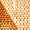 Product Abeille Royale Honey Treatment Rich Cream - Refillable 50ml thumbnail image